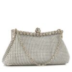 Plic de ocazie argintiu Silver Denisse